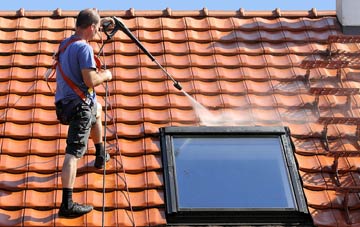 roof cleaning Michelcombe, Devon