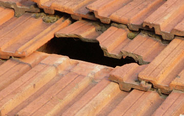 roof repair Michelcombe, Devon