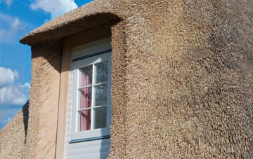 Michelcombe thatch roof disadvantages